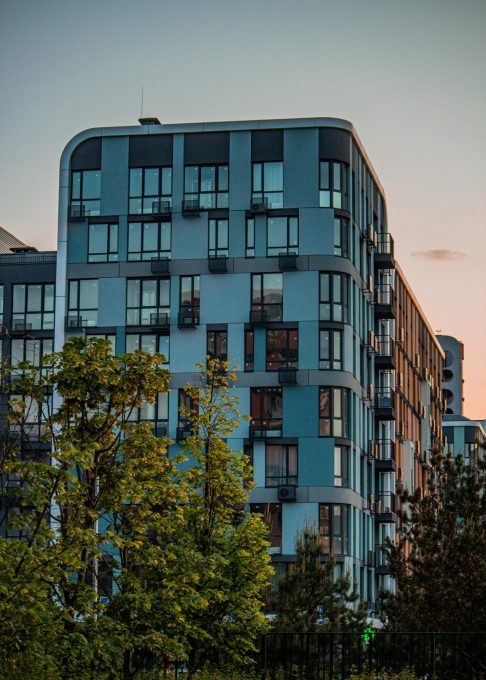 pexels-oleksandr-plakhota-1270583835-26183662